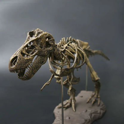 Large DIY Dinosaur Skeleton Toys Ornament Simulation T-Rex Model Jurassi Assembled Skeleton Park Fossilized Dragon for Kids Boys