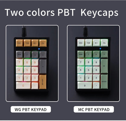 APAYADO T21 Number Keyboard 21Key Wired Mechanical Number Keyboard,MultiColor Lights for Treasury / Accounting / Finance
