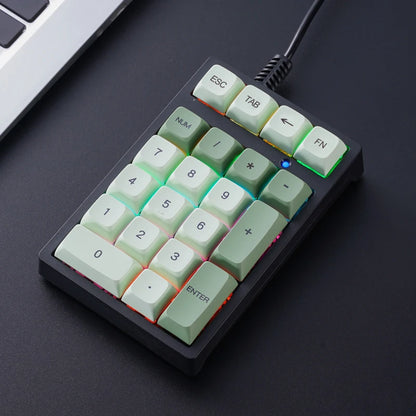 APAYADO T21 Number Keyboard 21Key Wired Mechanical Number Keyboard,MultiColor Lights for Treasury / Accounting / Finance