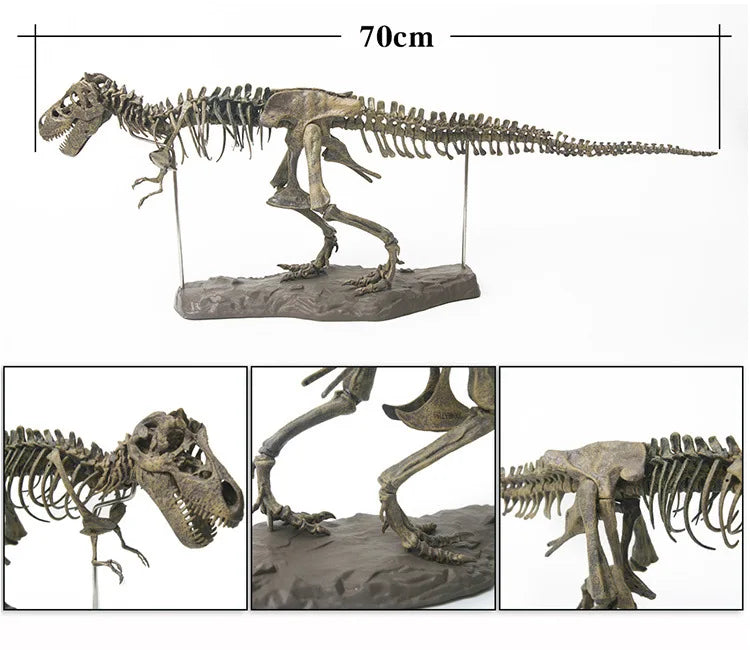 Large DIY Dinosaur Skeleton Toys Ornament Simulation T-Rex Model Jurassi Assembled Skeleton Park Fossilized Dragon for Kids Boys