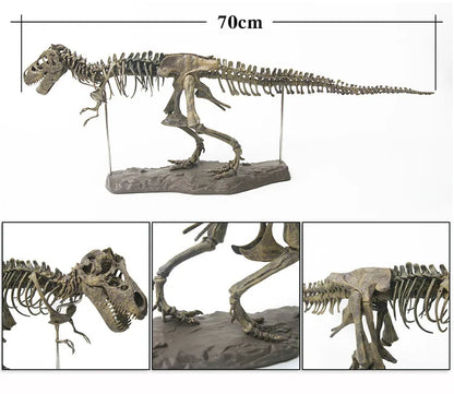 Large DIY Dinosaur Skeleton Toys Ornament Simulation T-Rex Model Jurassi Assembled Skeleton Park Fossilized Dragon for Kids Boys