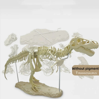 Large DIY Dinosaur Skeleton Toys Ornament Simulation T-Rex Model Jurassi Assembled Skeleton Park Fossilized Dragon for Kids Boys