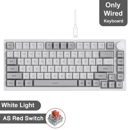 Ajazz AK820/AK820Pro gaming mechanical keyboard Bluetooth 5.1/Wireless/wired c custom keyboard with heat exchange sealed button