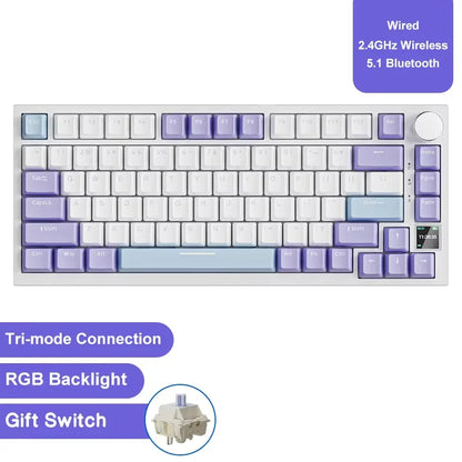 Ajazz AK820/AK820Pro gaming mechanical keyboard Bluetooth 5.1/Wireless/wired c custom keyboard with heat exchange sealed button